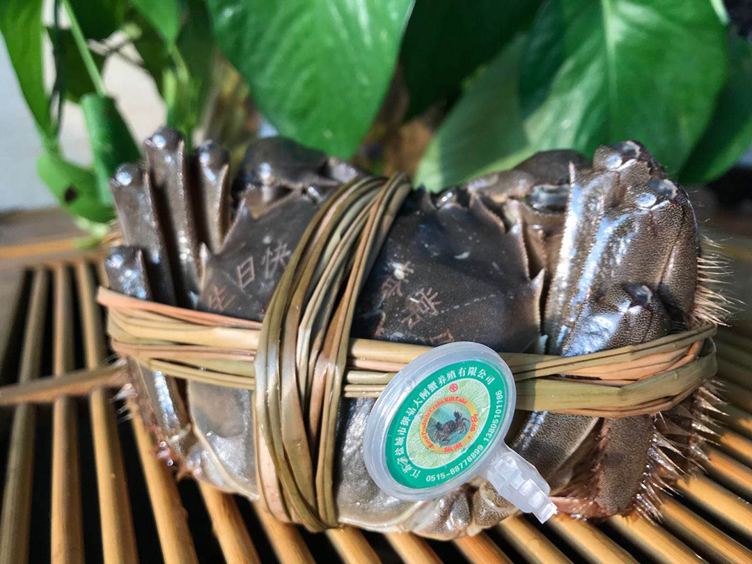 1600398108556099.jpg 大閘蟹圖8.jpg